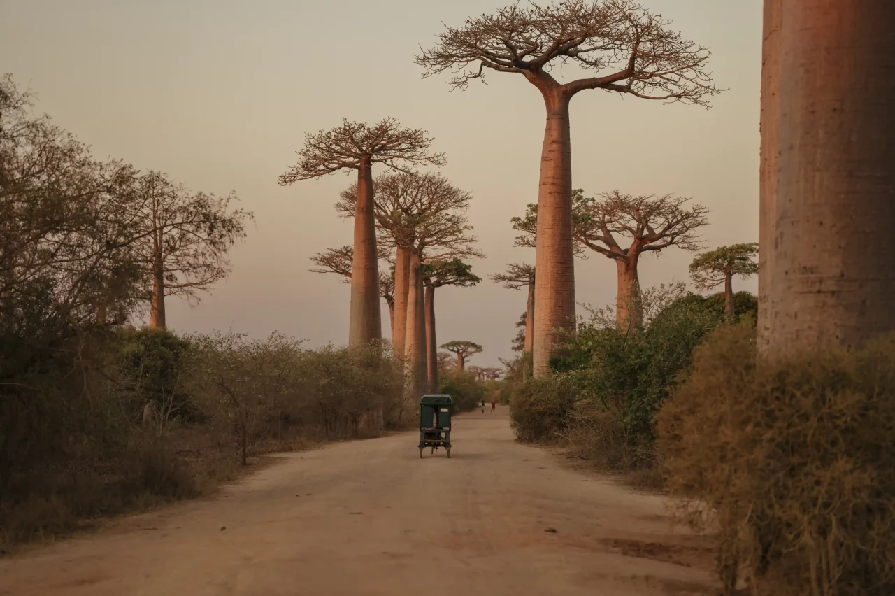 Diego Giusti fotografo matrimonio a Livorno- Dafne e Ciro - racconto viaggio africa 93