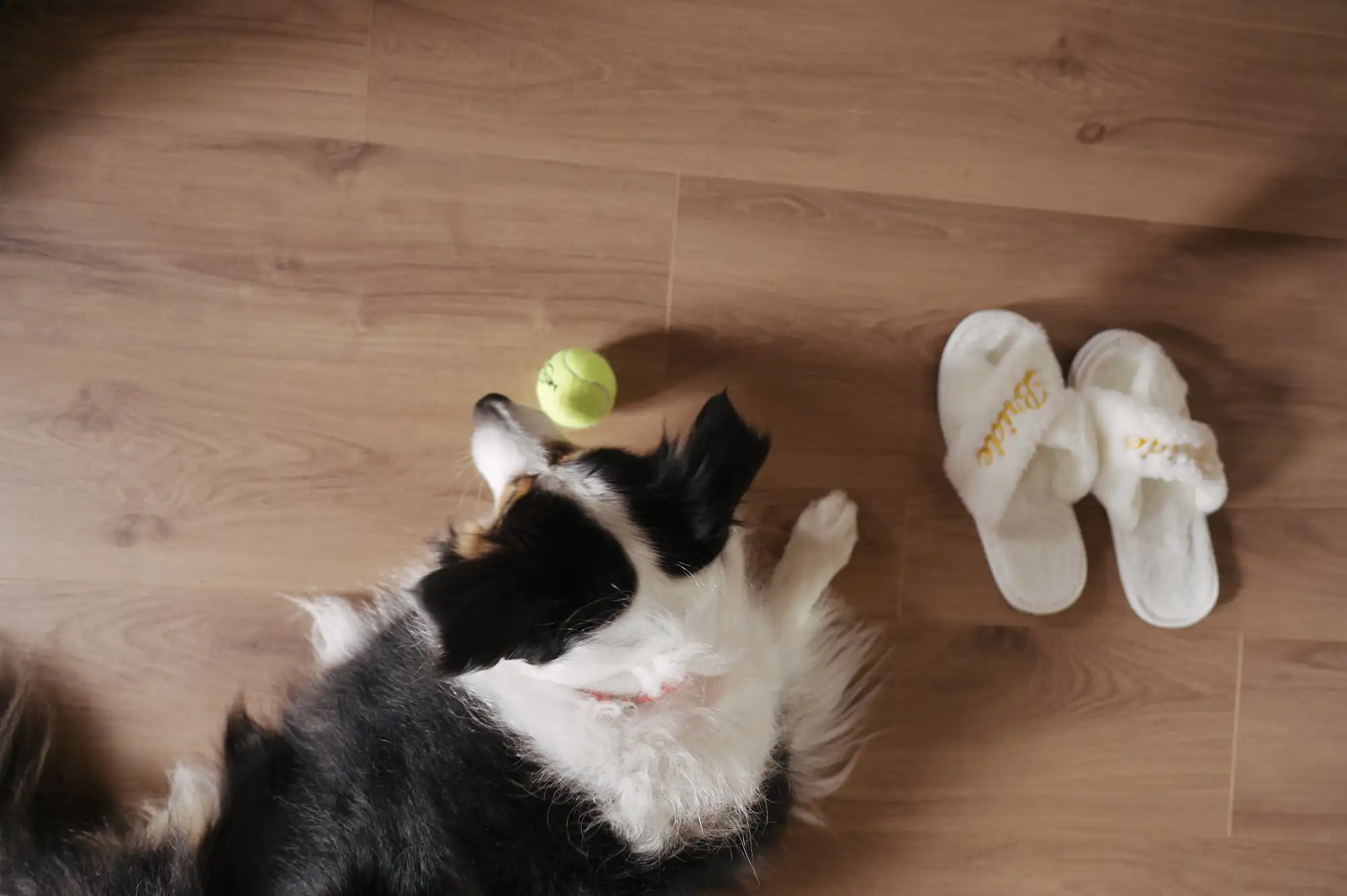 Diego-Giusti-realwedding-2025-matrimonio Elisabetta-Samiel-i-007