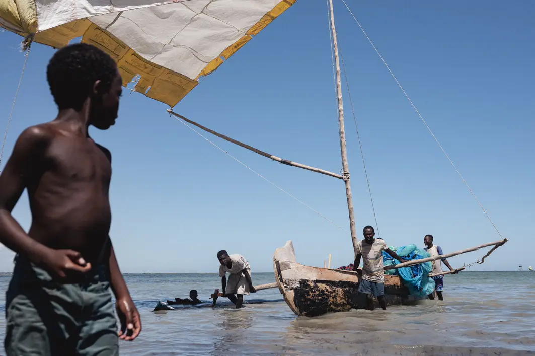 Madagascar-204 https://diegogiusti.it/wp-content/uploads/2026/05/Madagascar-204.webp
